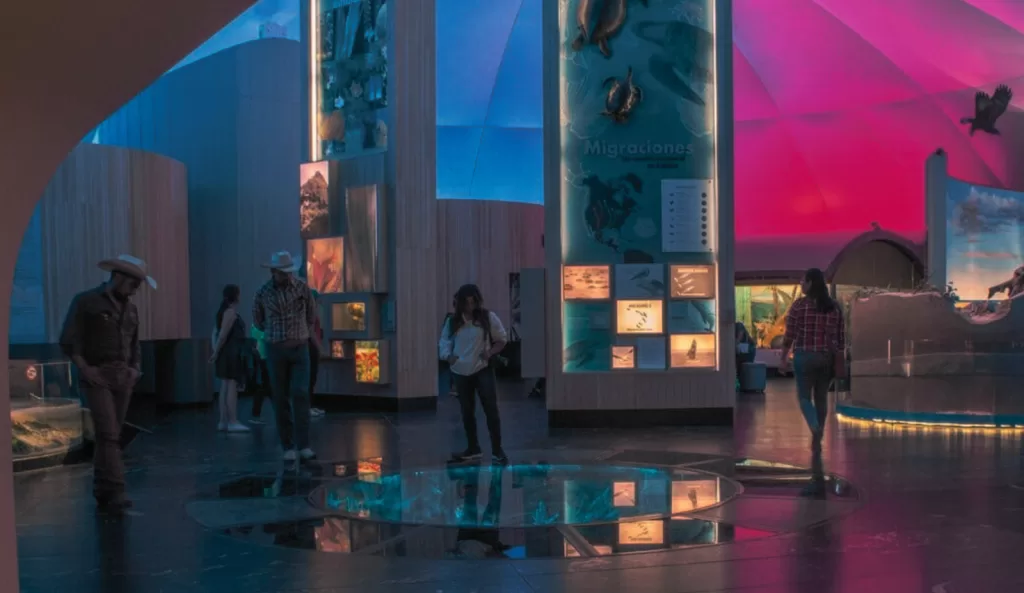 ¿Quiénes-son-los-espectadores-de-arte-en-CDMX-los-mismos-artistas?.alt